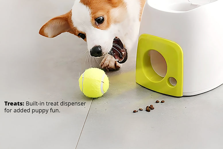 Smart Automatic Ball & Treat Dispenser for Pets – Interactive Pet Toy with Timer & Remote Control