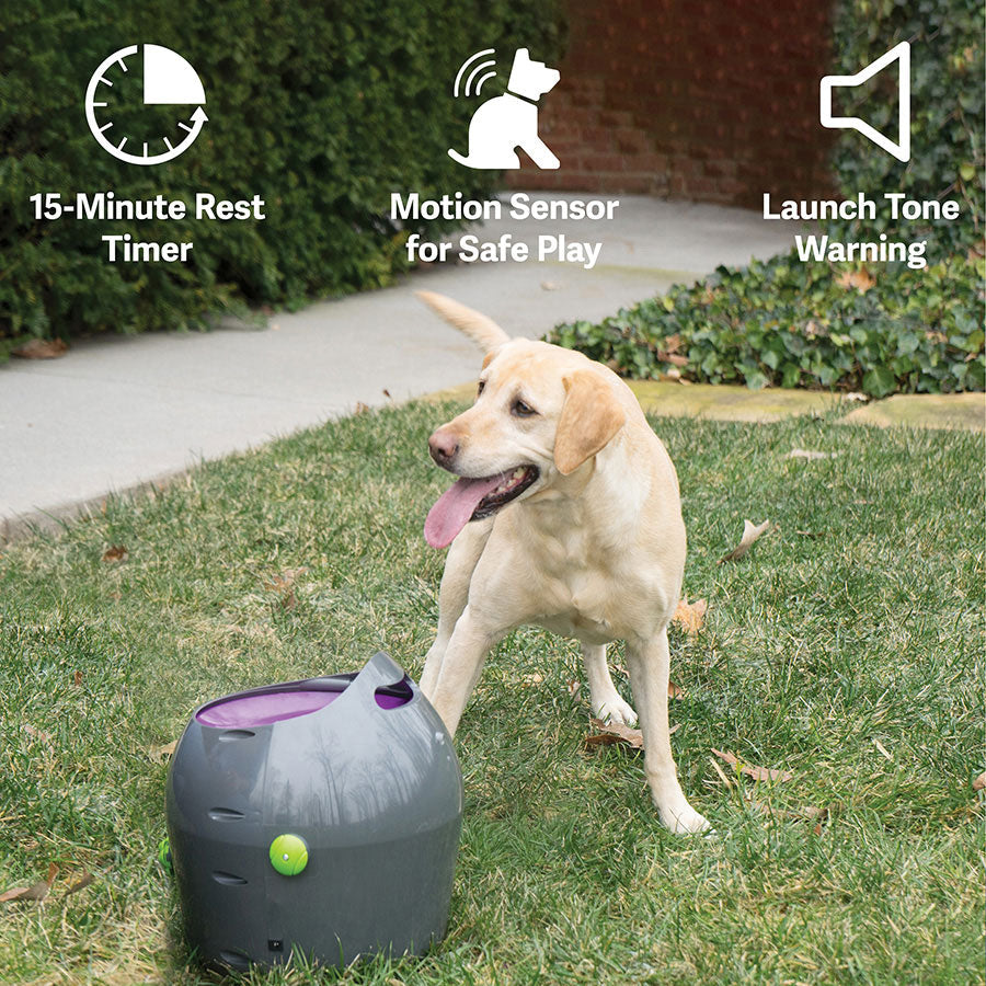 Petsafe Automatic Ball Launcher – Outdoor Dog Tennis Ball Thrower